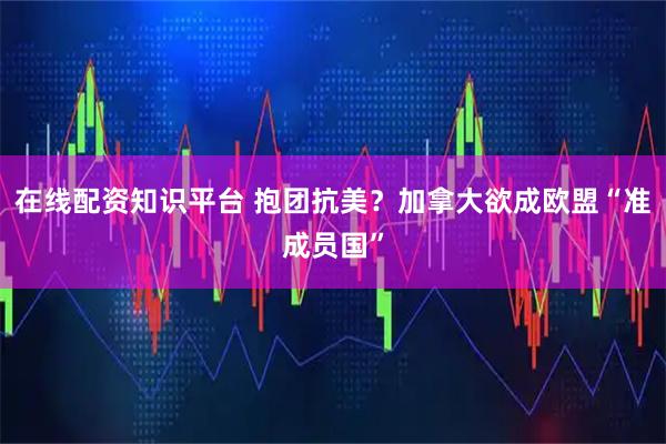 在线配资知识平台 抱团抗美？加拿大欲成欧盟“准成员国”